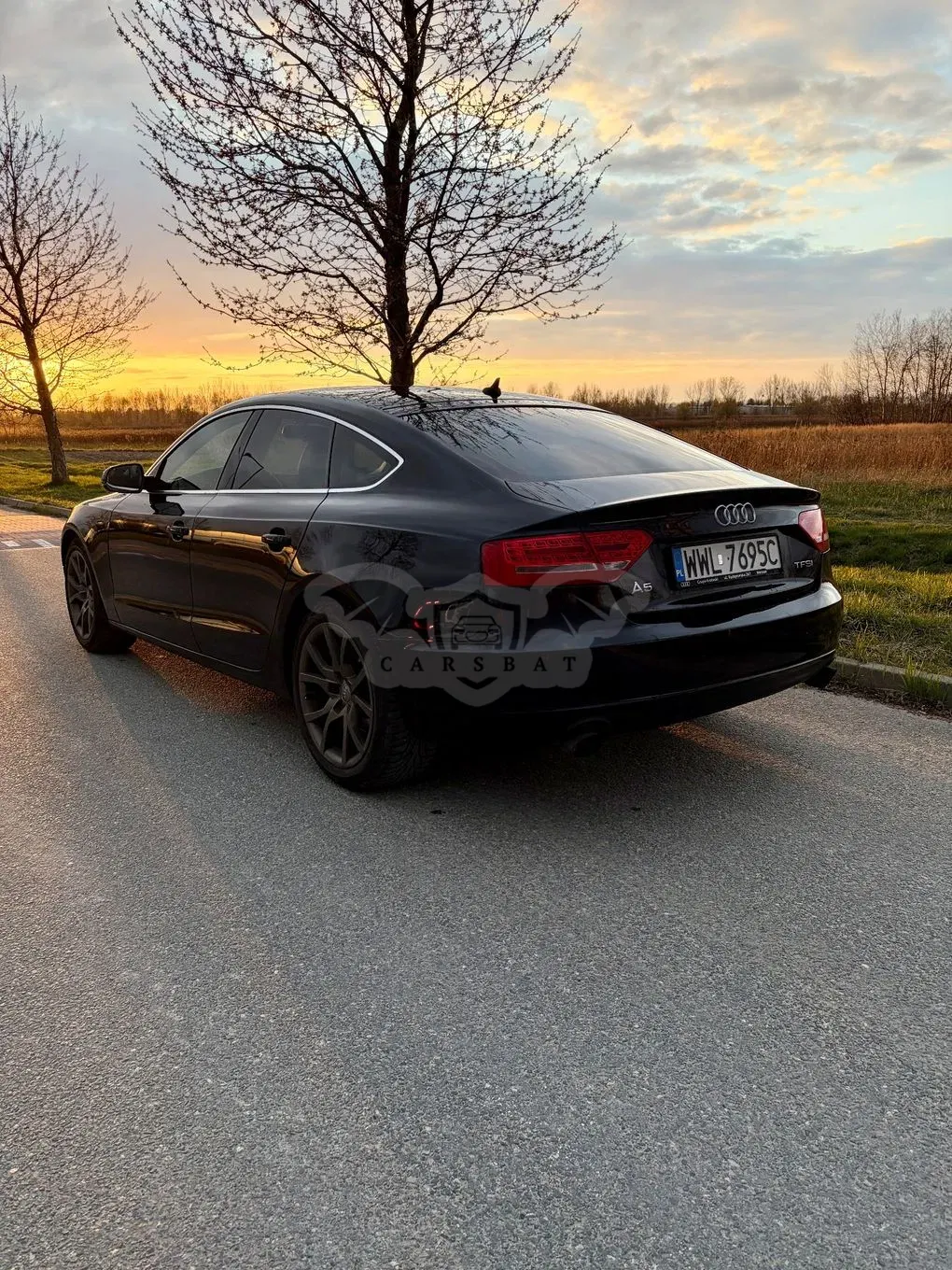 Audi A5 8T 2.0 TFSI Multitronic 2011
