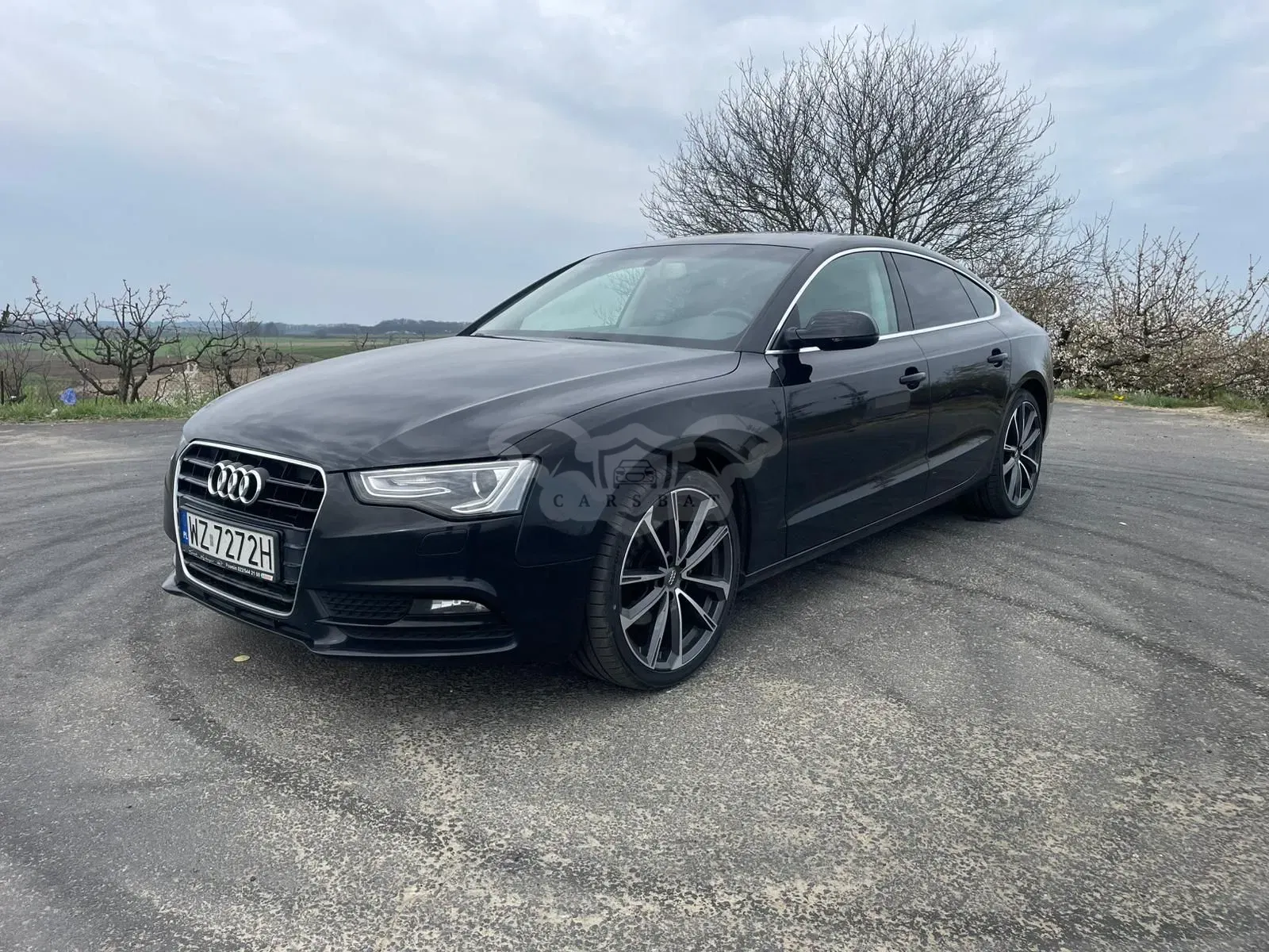 Audi A5 8T 2.0 TDI 2013