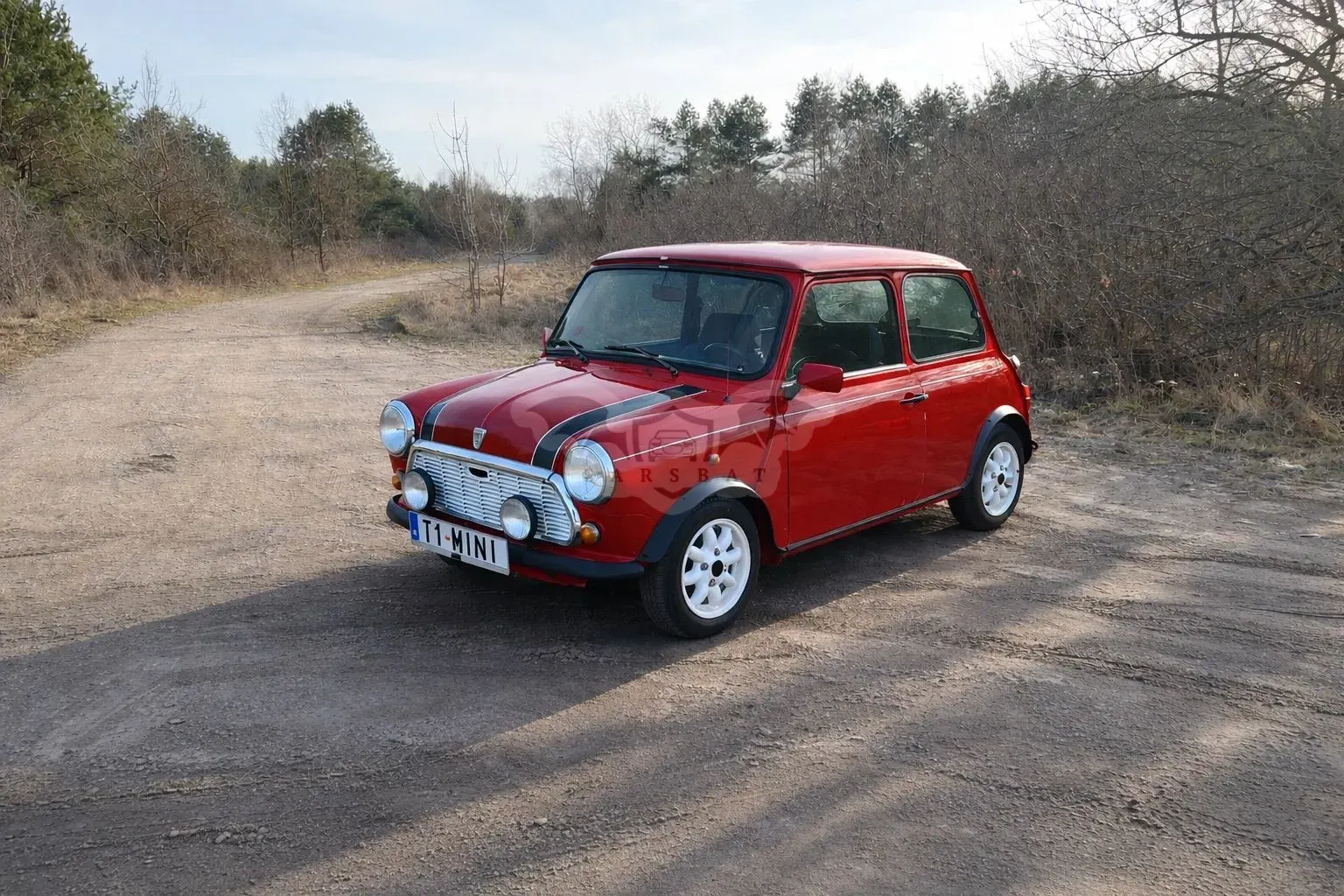 Rover mini 1993