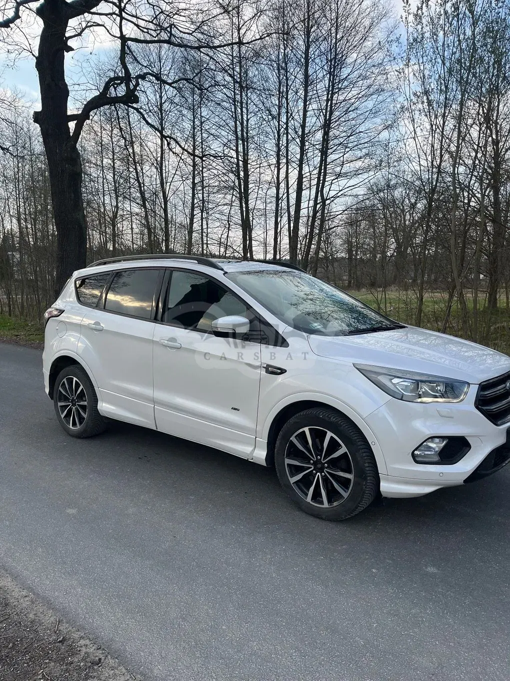 Ford Kuga II 2.0 TDCi AWD ST-Line 2017