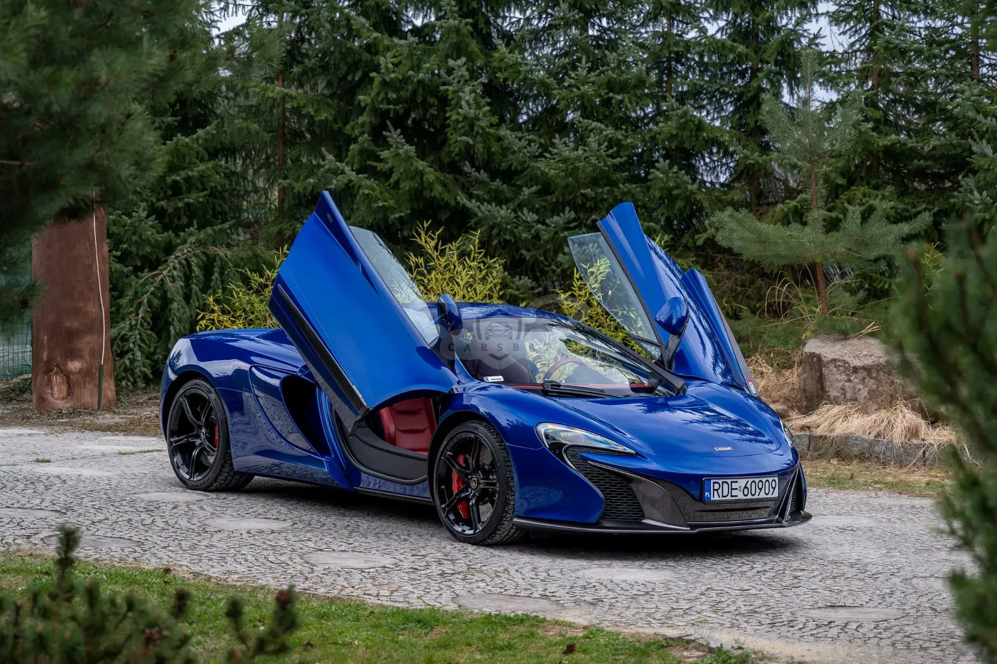 McLaren 650S 2015