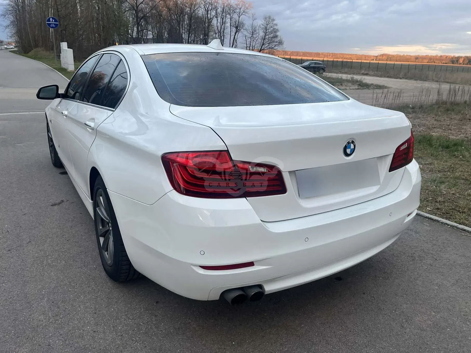 BMW 5 Series F10/F11 2015