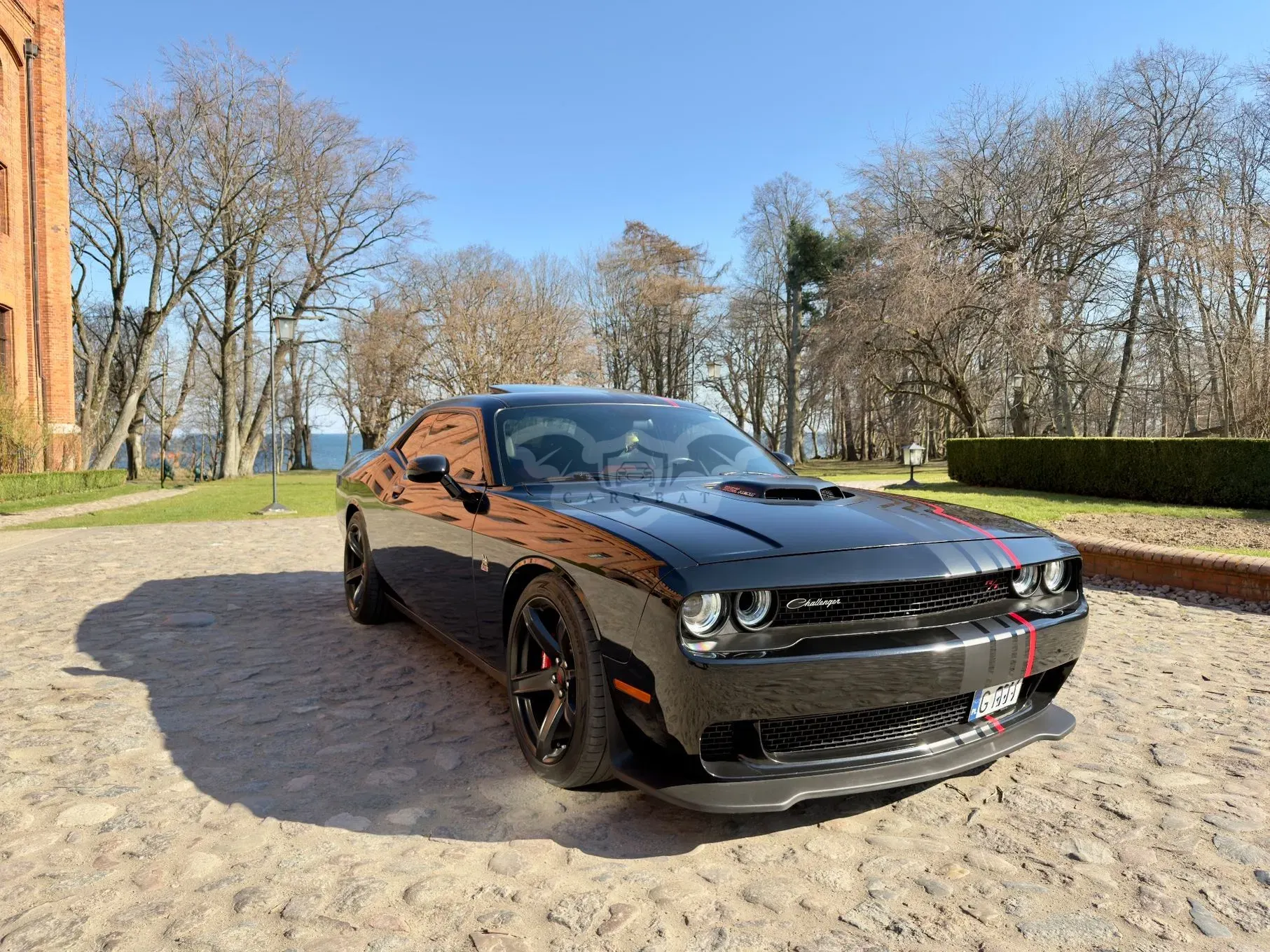 Dodge Challenger Automatik 392 Hemi Scat Pack Shaker 2016
