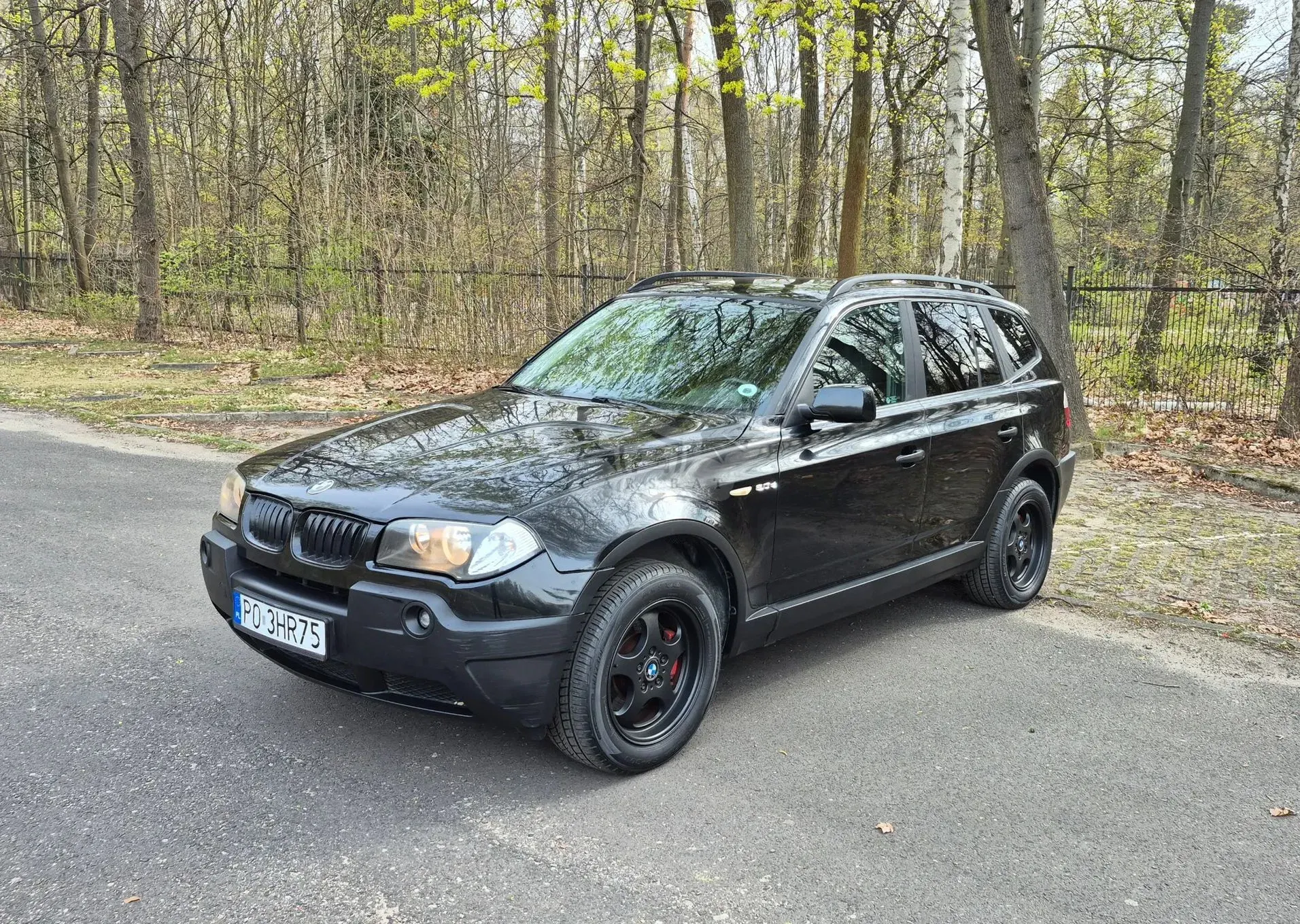 BMW X3 E83 2006