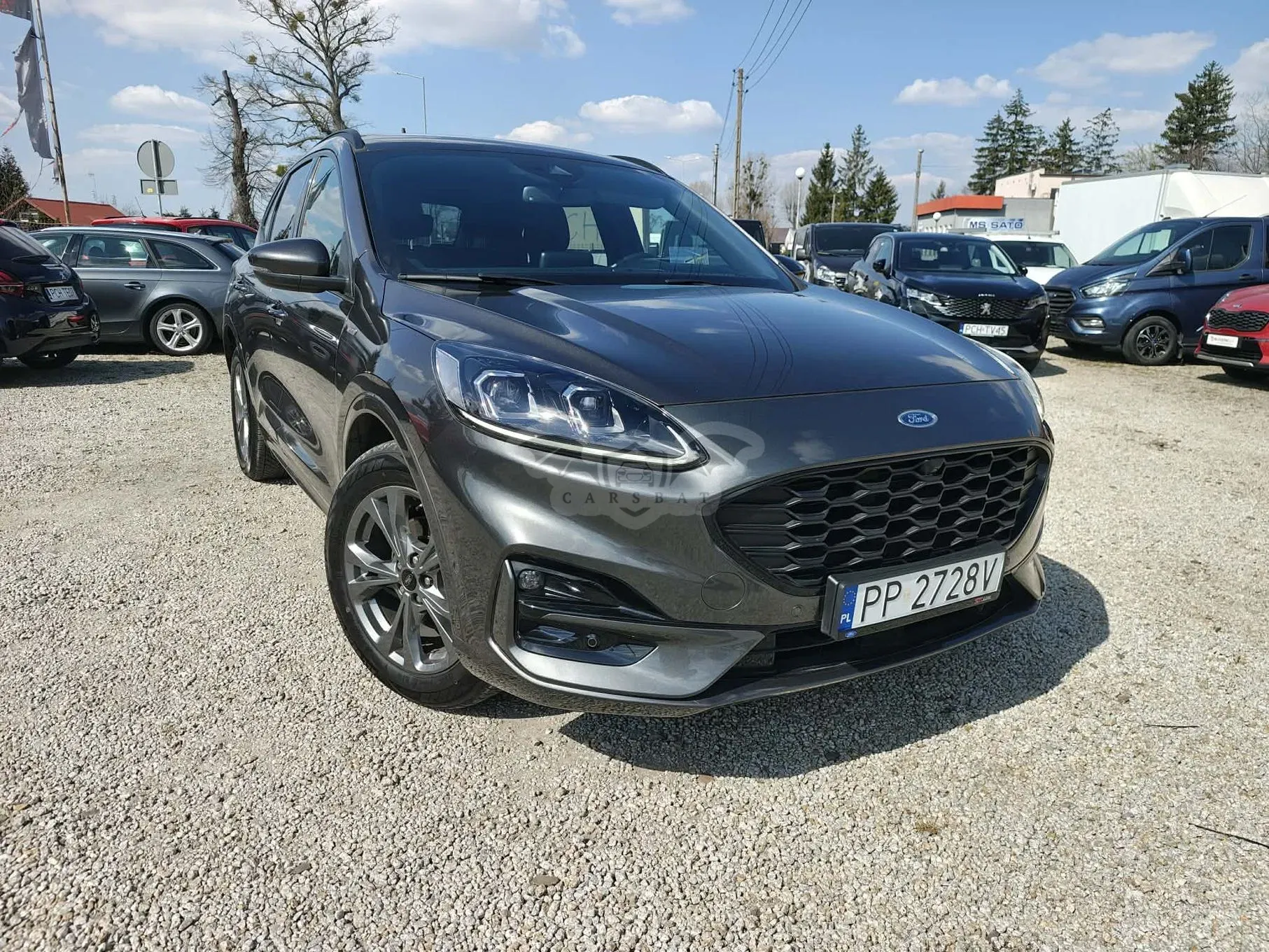 Ford Kuga III 2.0 EcoBlue Hybrid ST-LINE 2020