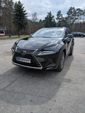 Lexus NX I 300 Business Edition AWD 2020