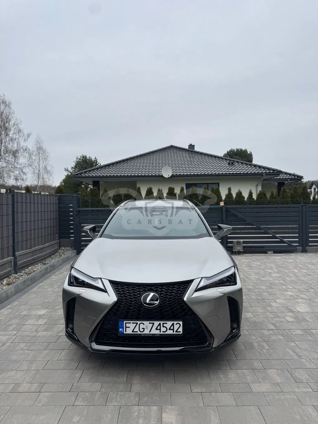 Lexus UX 250h F Sport 2WD 2024