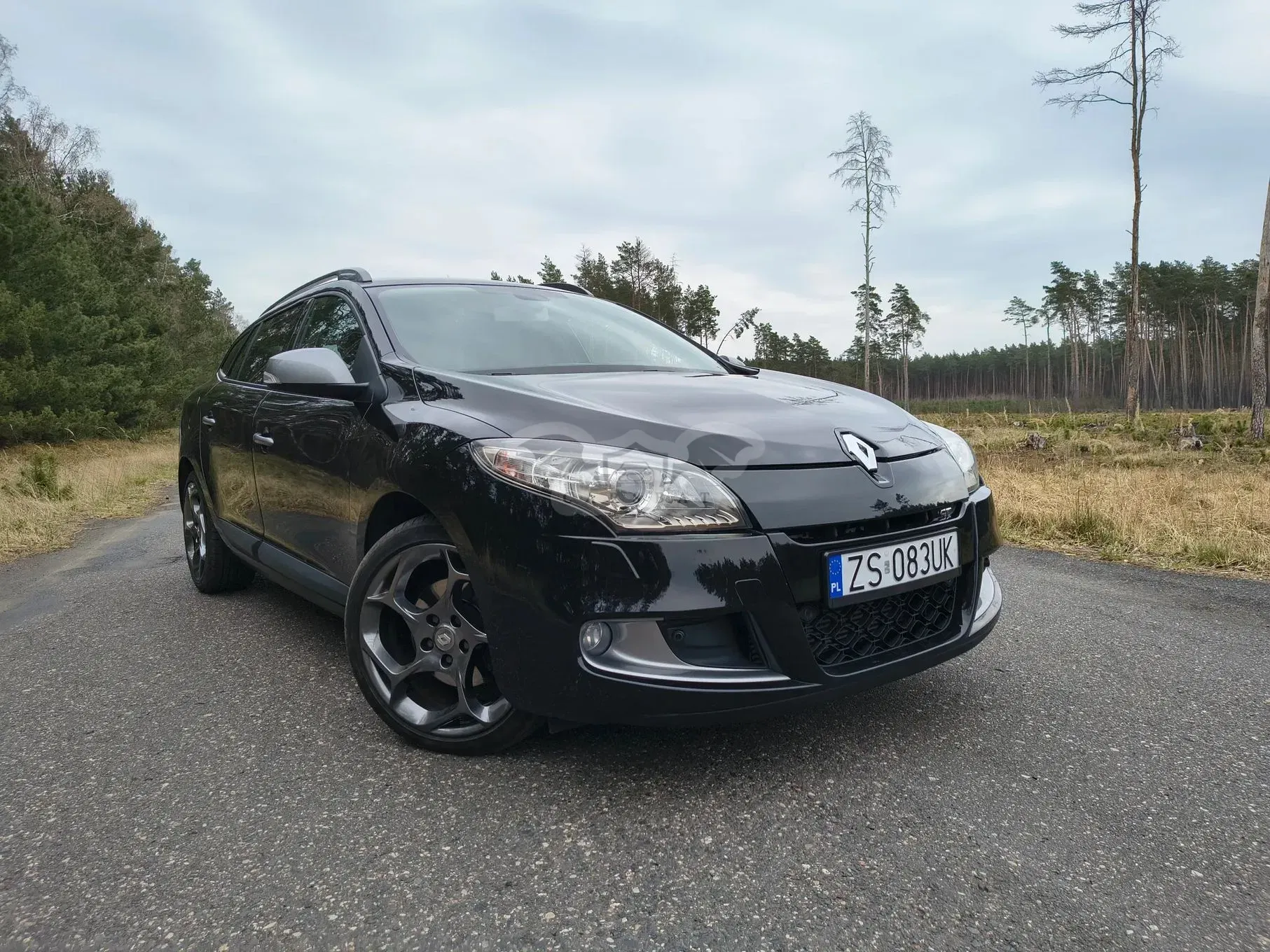 Renault Megane III TCe 180 GT 2011