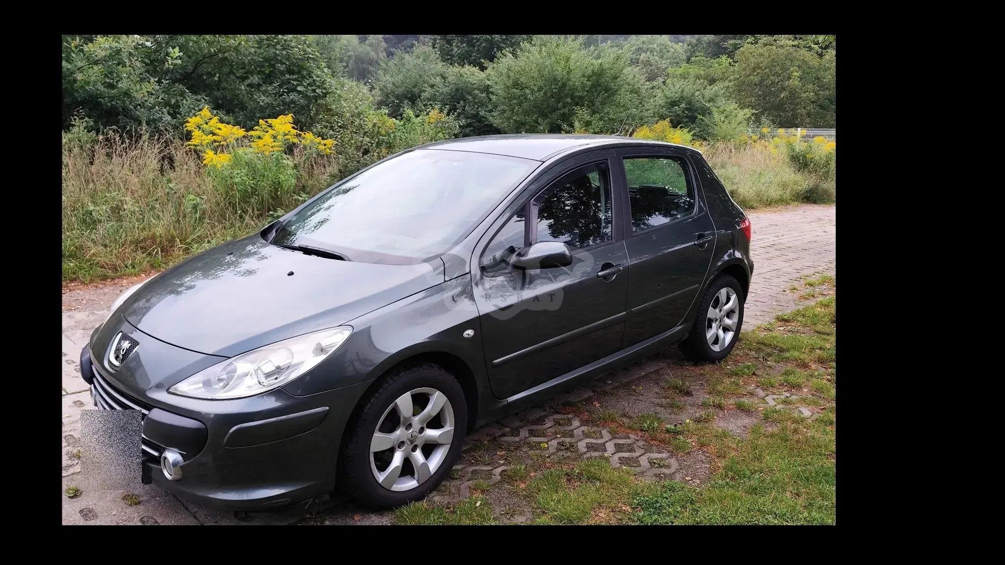 Peugeot 307 II 2007
