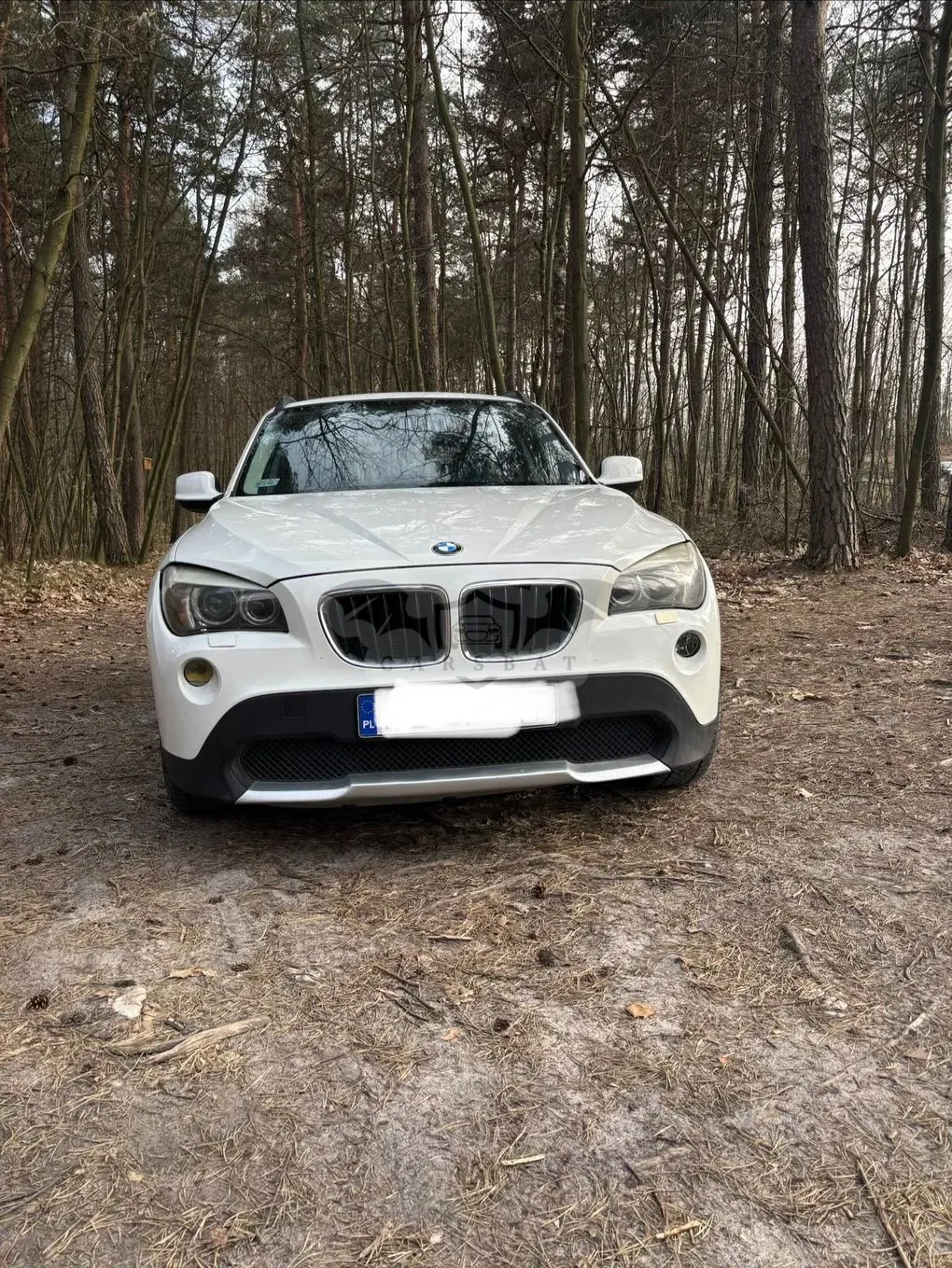 BMW X1 E84 2010