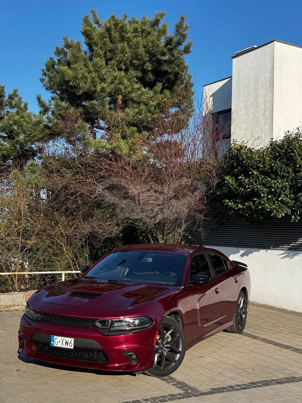 Dodge Charger 5.7 R/T 2022