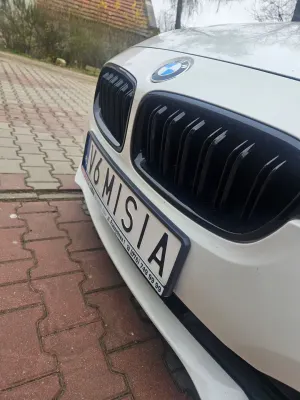 BMW 3 Series F30/F31 320d Efficient Dynamics 2015