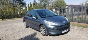 Peugeot 207 1.4 16V Trendy 2007
