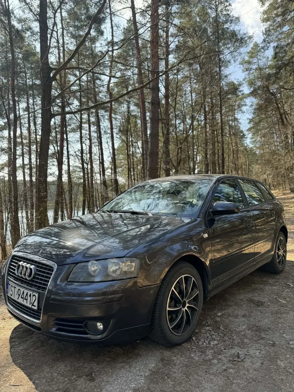 Audi A3 8P 2.0 TDI Ambiente 2006
