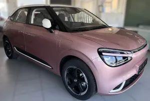 Dongfeng Box 2025