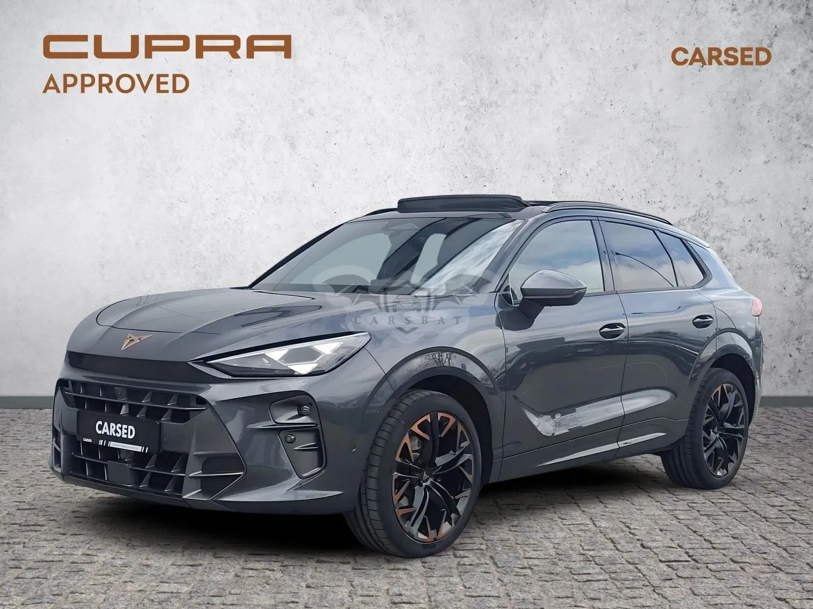 Cupra Terramar 2.0 TSI 4Drive VZ DSG 2025
