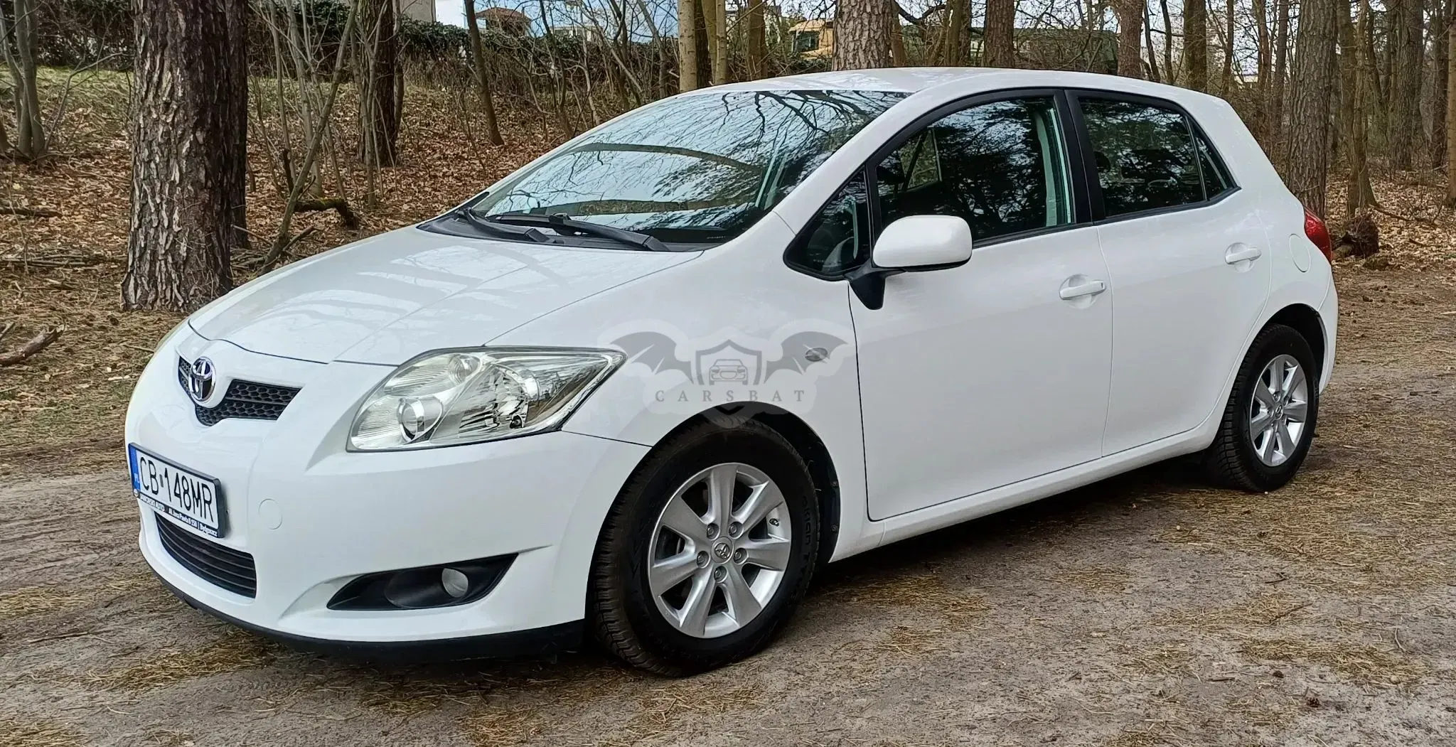Toyota Auris I 1.4 D-4D Luna 2011