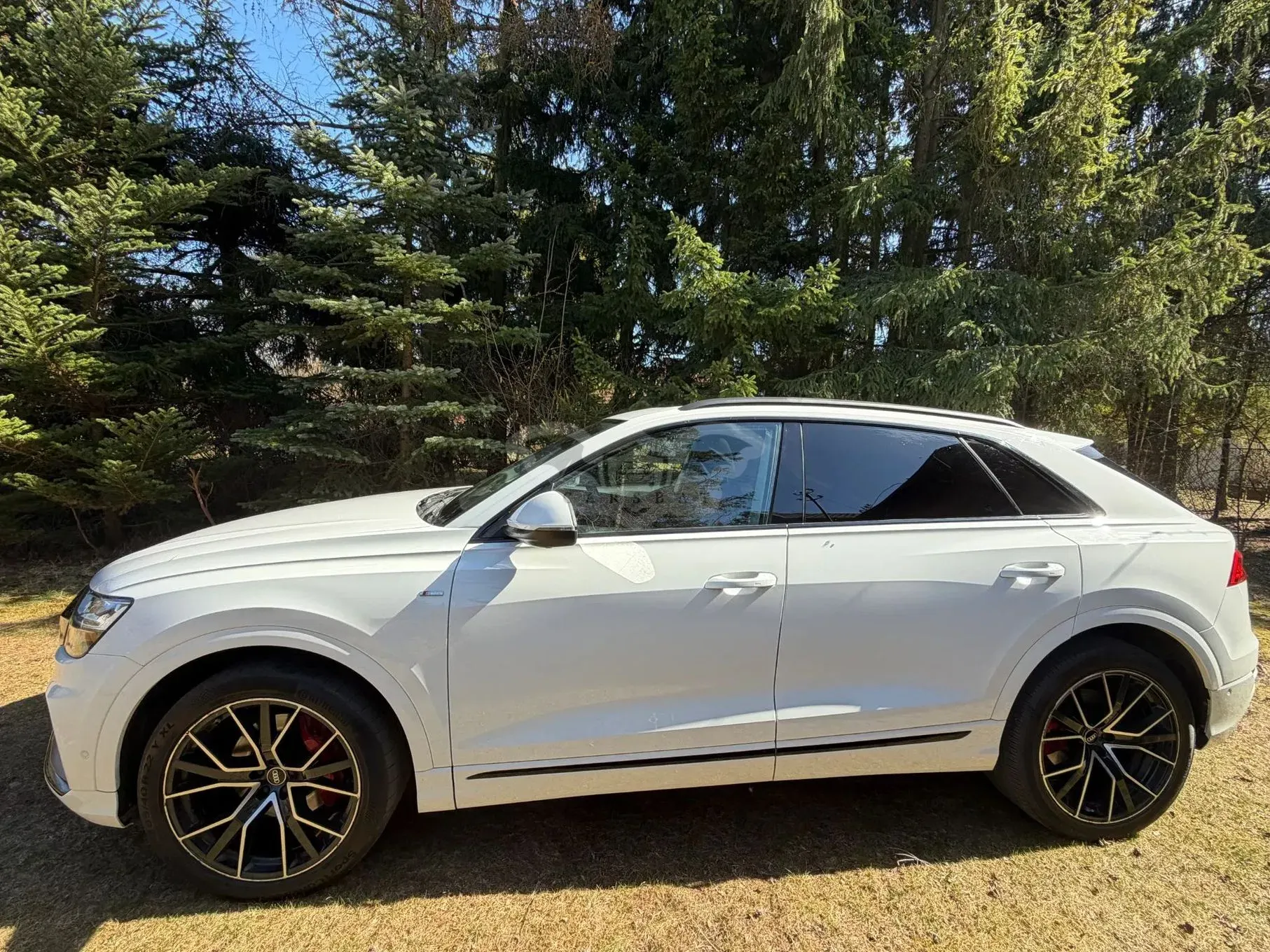 Audi Q8 55 TFSI mHEV Quattro Tiptronic 2022