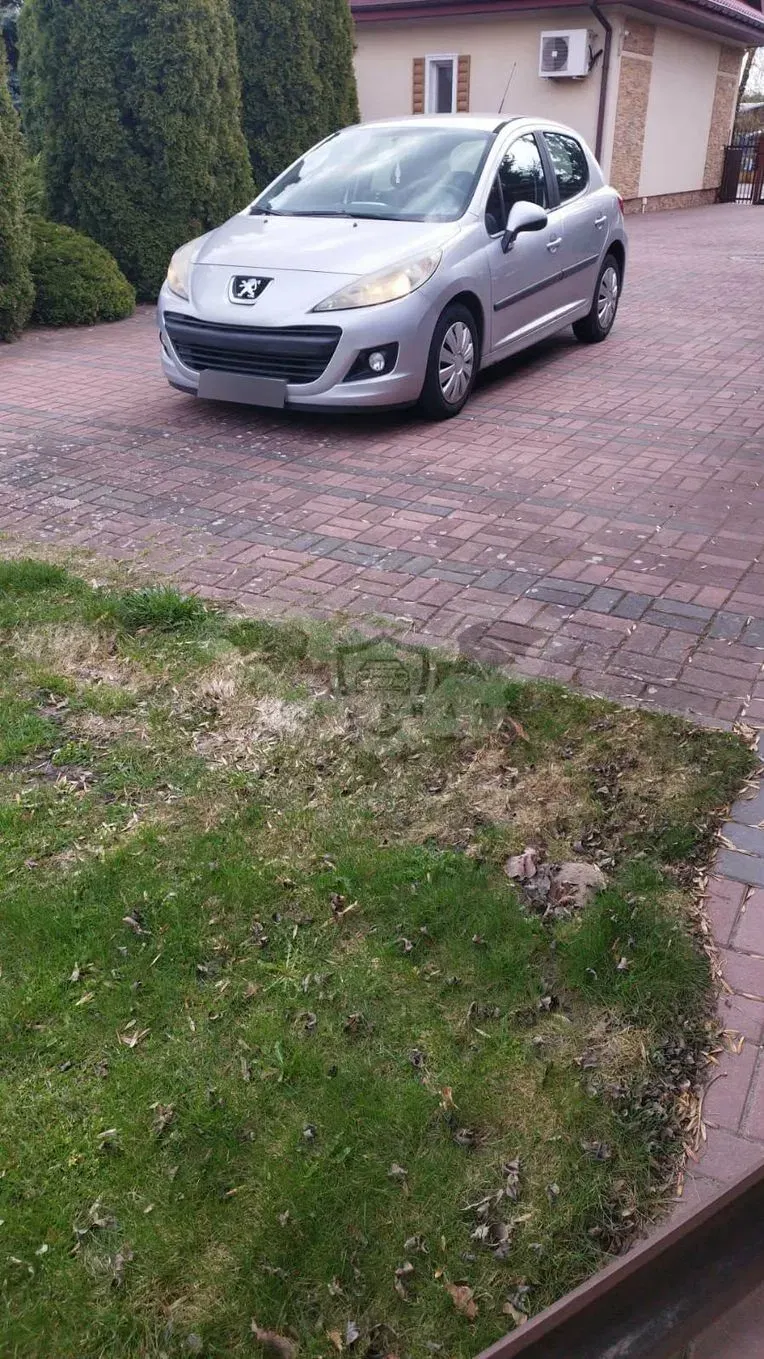 Peugeot 207 1.4 16V Sporty 2009