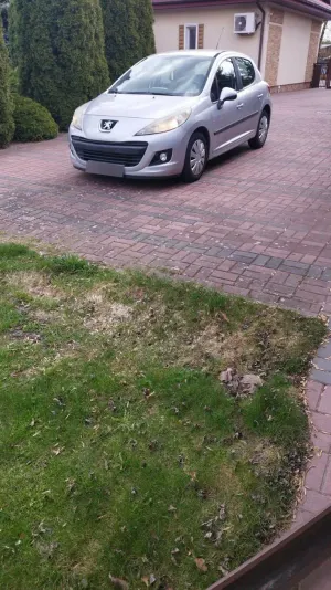 Peugeot 207 1.4 16V Sporty 2009