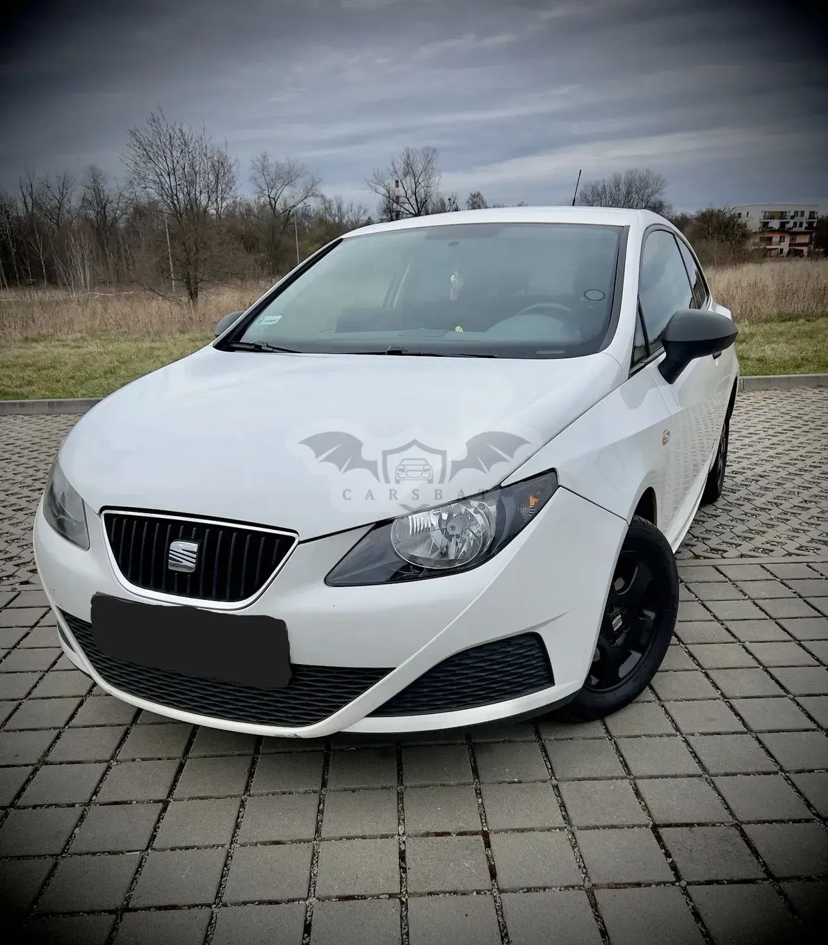 Seat Ibiza IV 2011