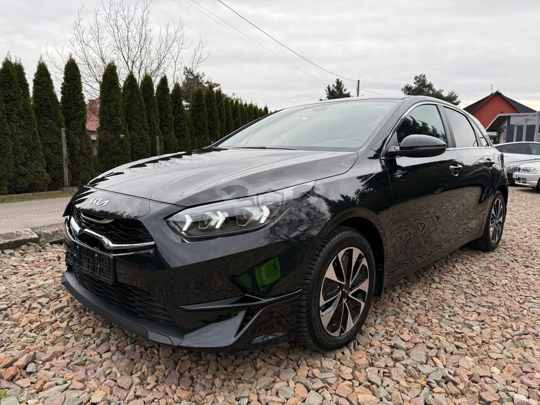 Kia Ceed III 1.5 T-GDI Tribute DCT 2024