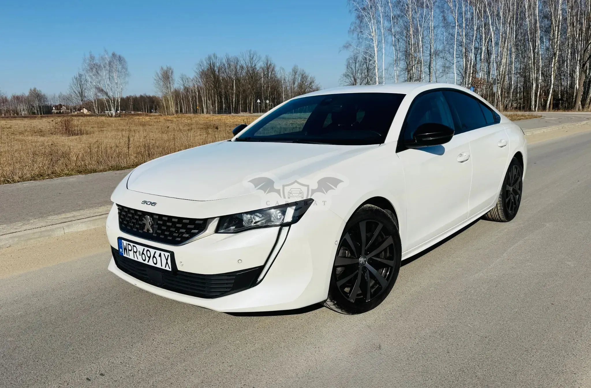 Peugeot 508 II 2.0 BlueHDi GT Line S&S EAT8 2020