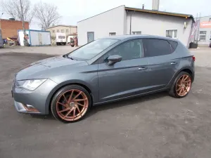 Seat Leon III 1.6 TDI DPF Start&Stop Reference 2013