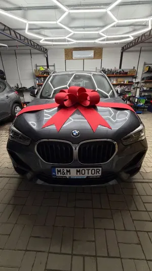 BMW X1 F48 sDrive18d Sport Line 2020