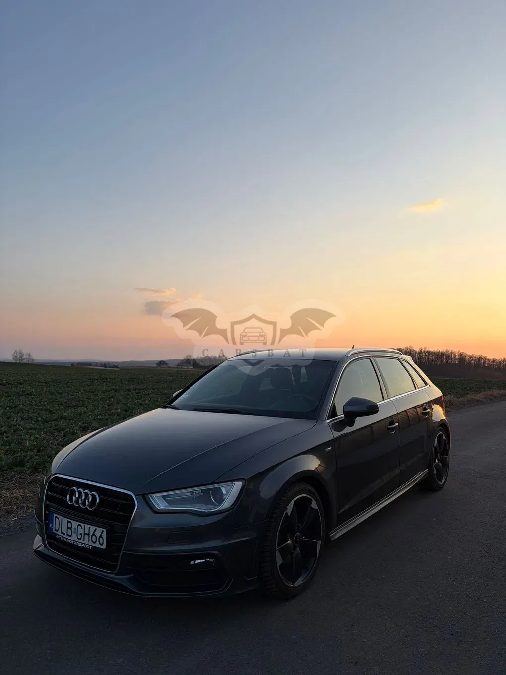 Audi A3 8V 2.0 TDI (clean diesel) S line Sportpaket 2013