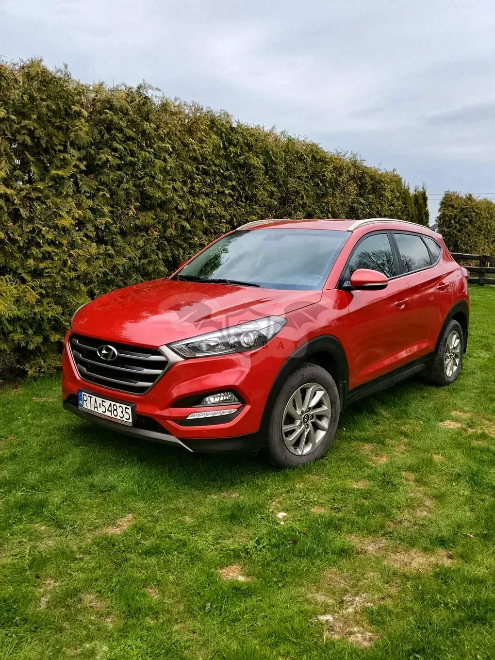 Hyundai Tucson III blue 1.6 GDi 2WD Classic 2015