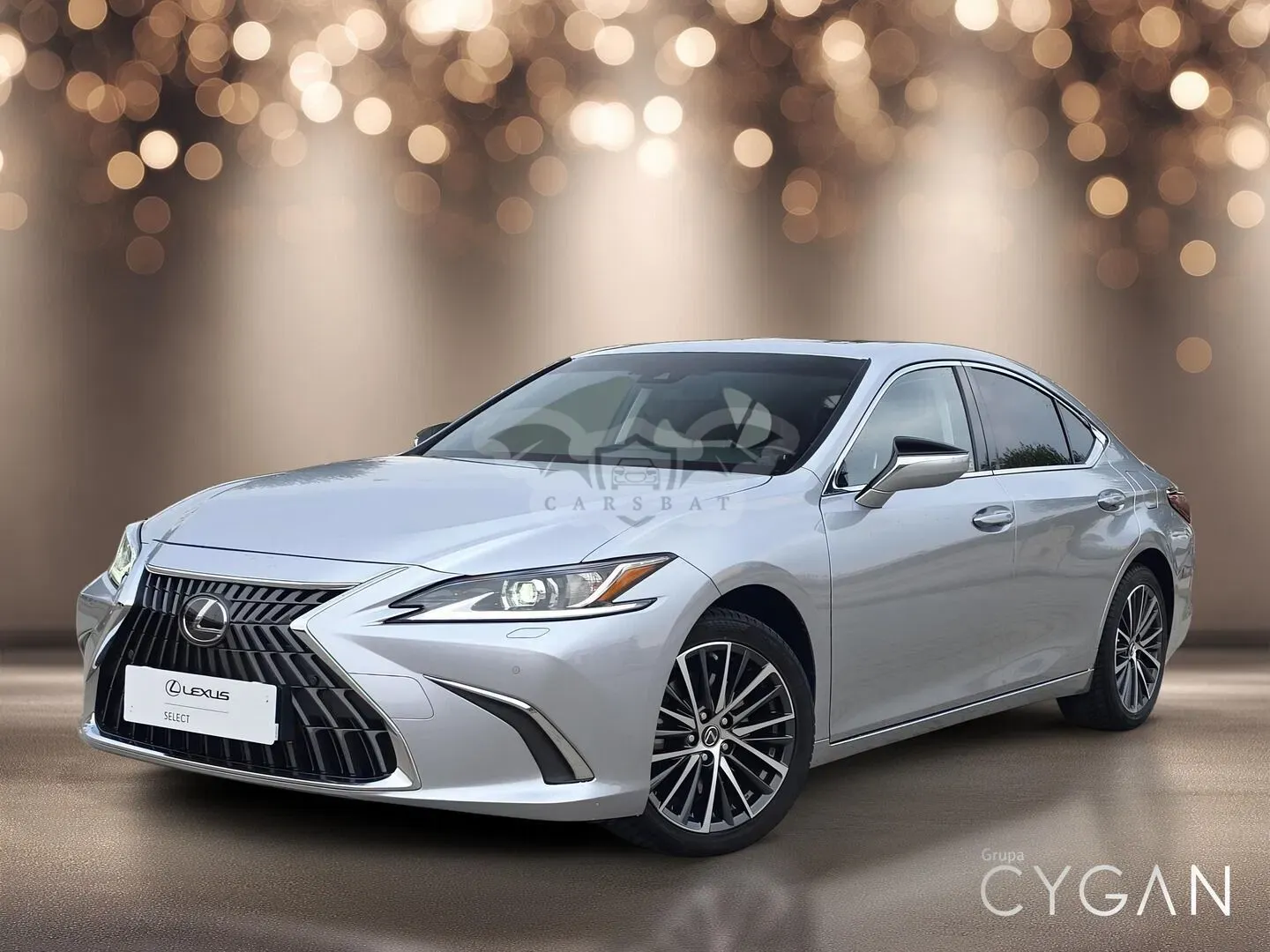 Lexus ES 300h Business Edition 2024