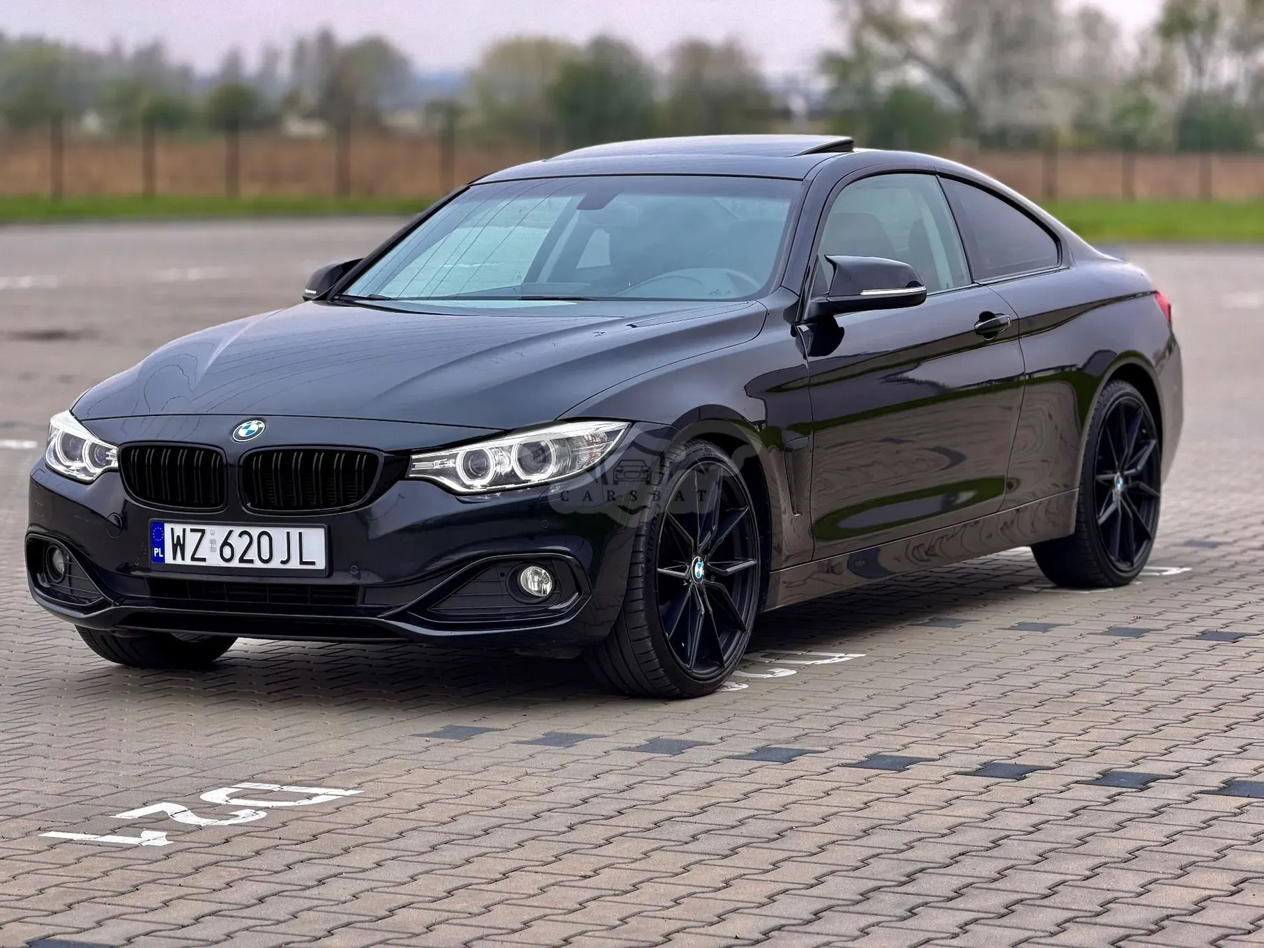 BMW 4 Series I F32/F33/F82 428i xDrive Luxury Line 2014