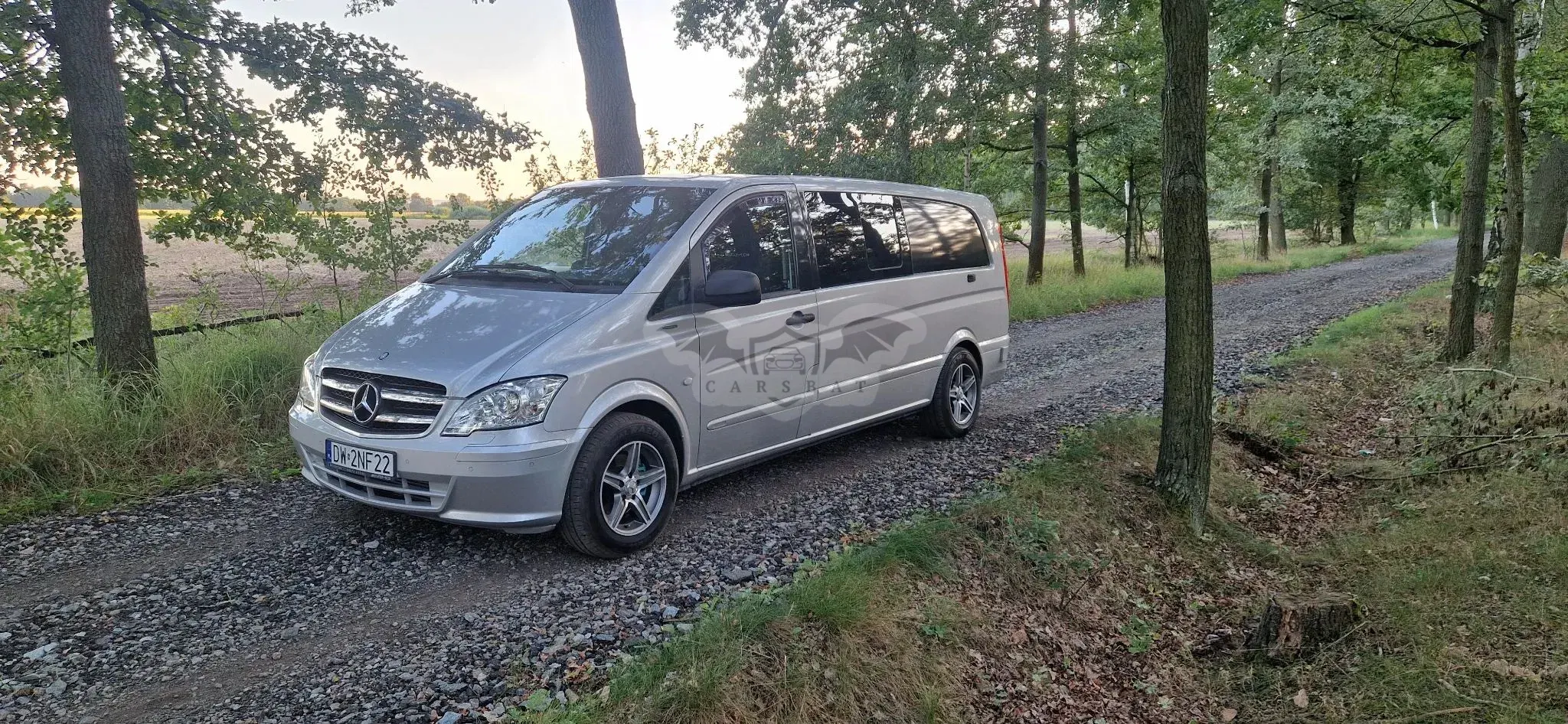 Mercedes-Benz Vito W639 Mixto 447.701 2013