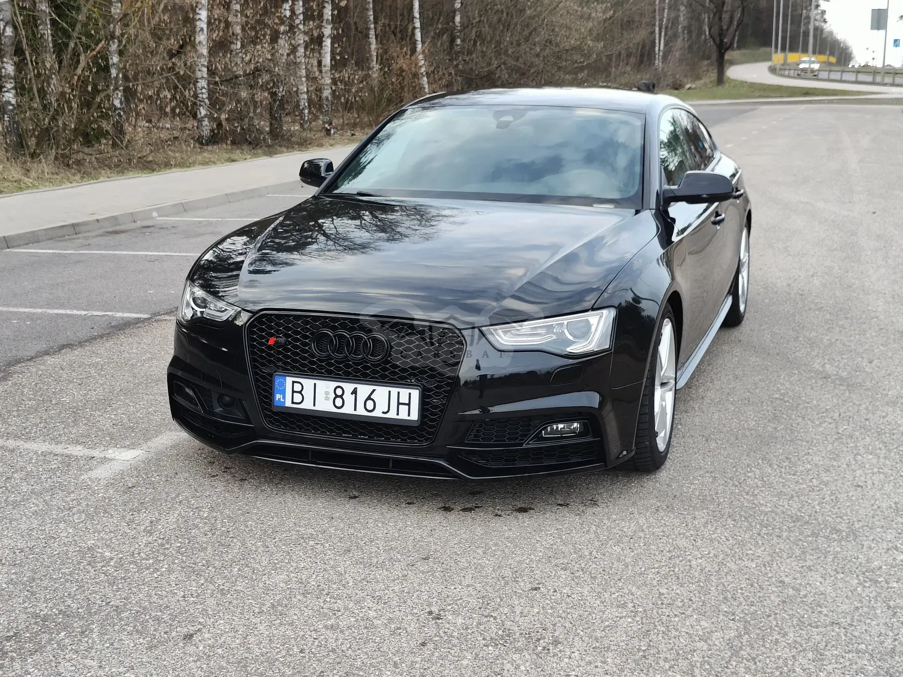 Audi S5 3.0 TFSI Quattro S tronic 2013