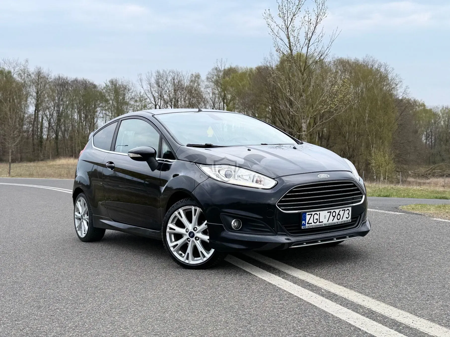 Ford Fiesta Mk7 1.5 TDCi Titanium 2015