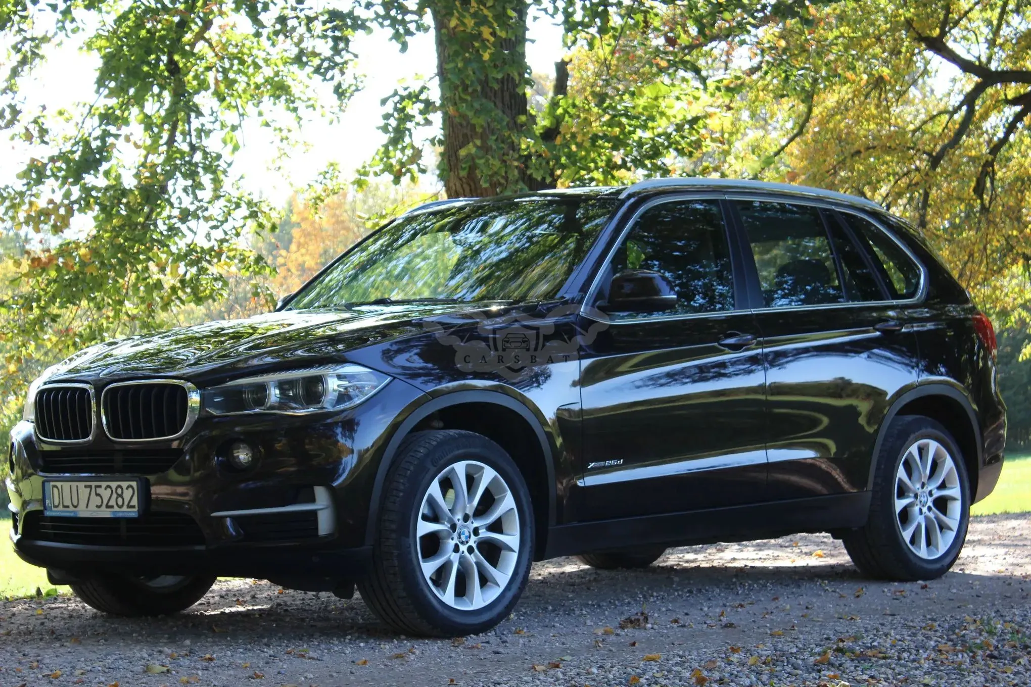 BMW X5 F15 xDrive25d 2014