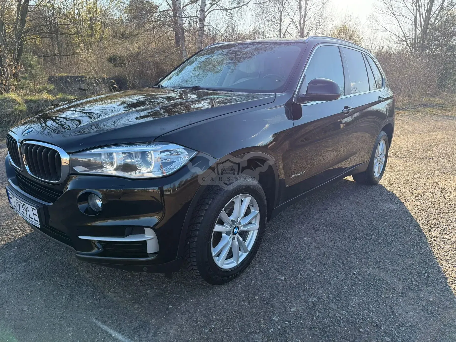 BMW X5 F15 xDrive25d 2016
