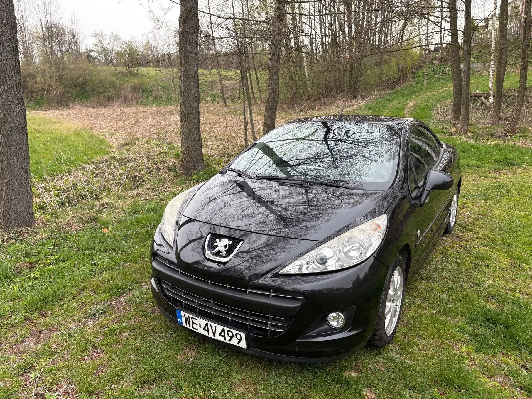 Peugeot 207 1.6 Sport 2010