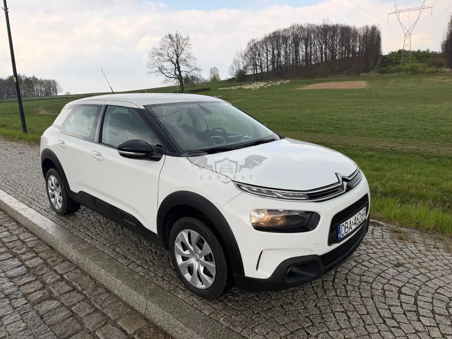 Citroën C4 Cactus 1.2 PureTech GPF Shine S&S EAT6 2019