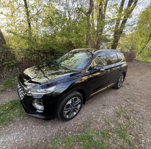 Hyundai Santa Fe IV 2.0 CRDi Platinum 4WD 2020