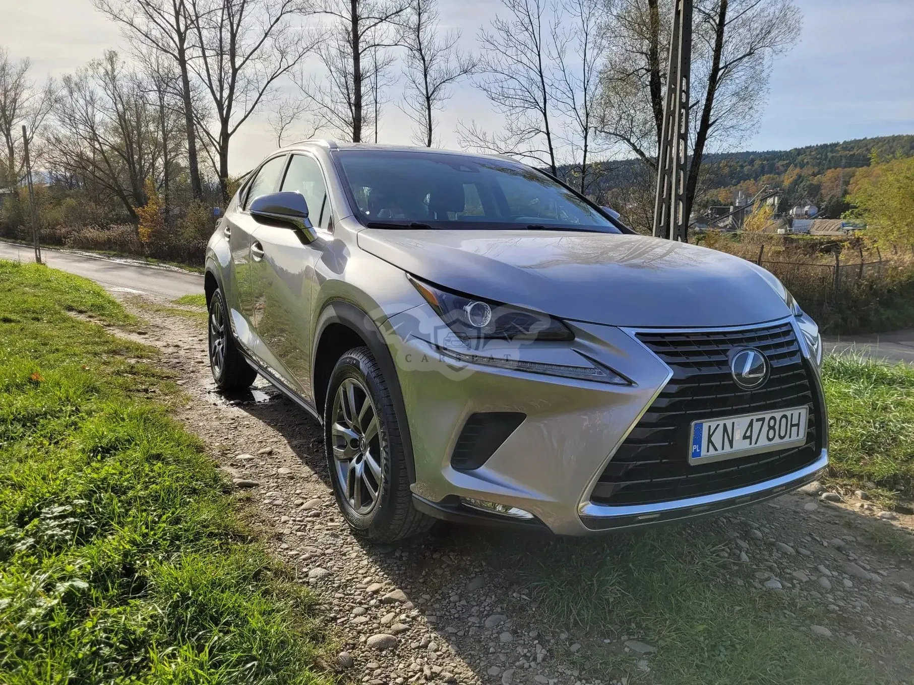 Lexus NX I 300h Business Edition 2018