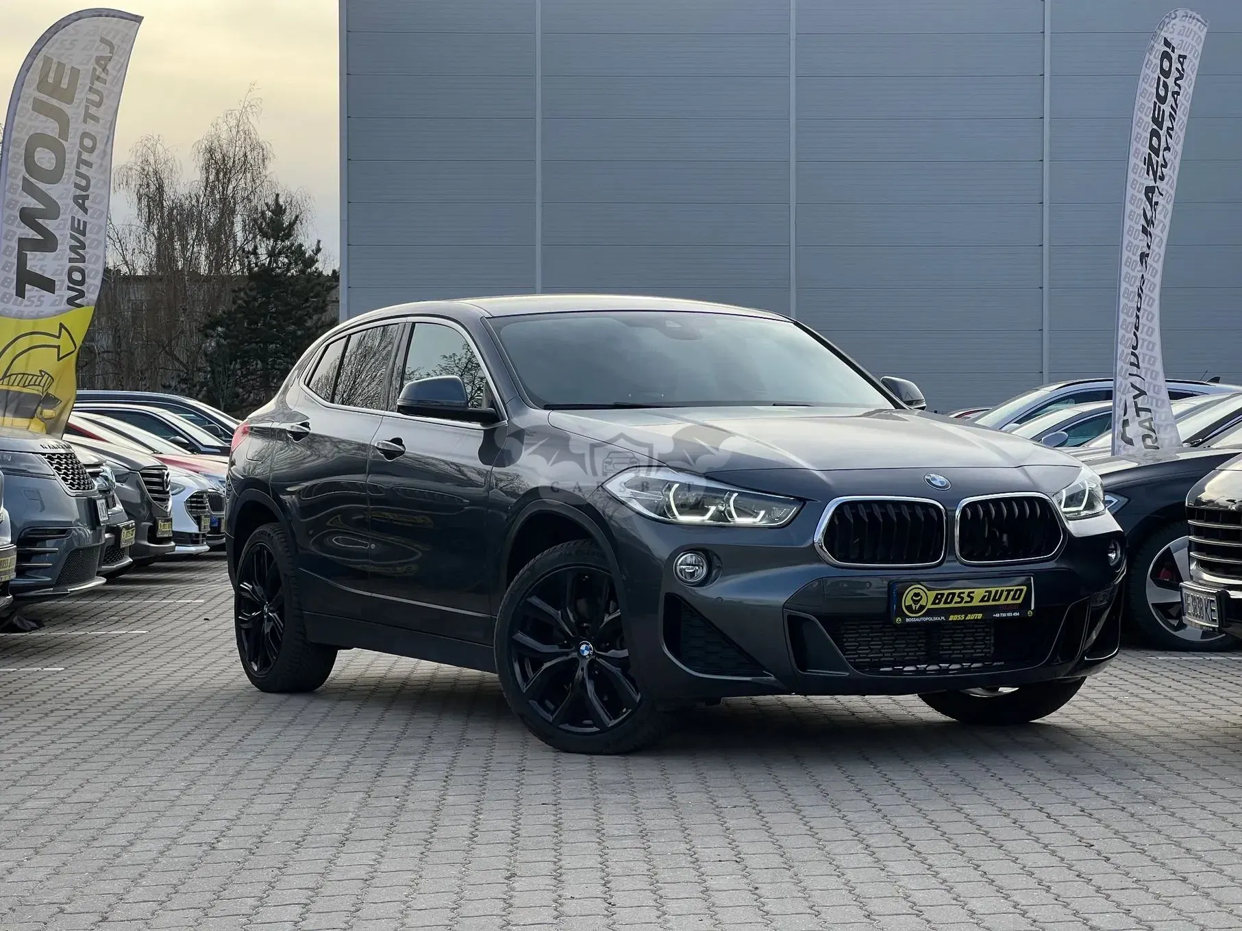 BMW X2 F39 2019