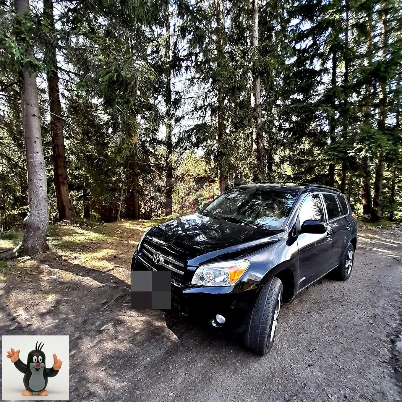 Toyota Rav4 III 2006