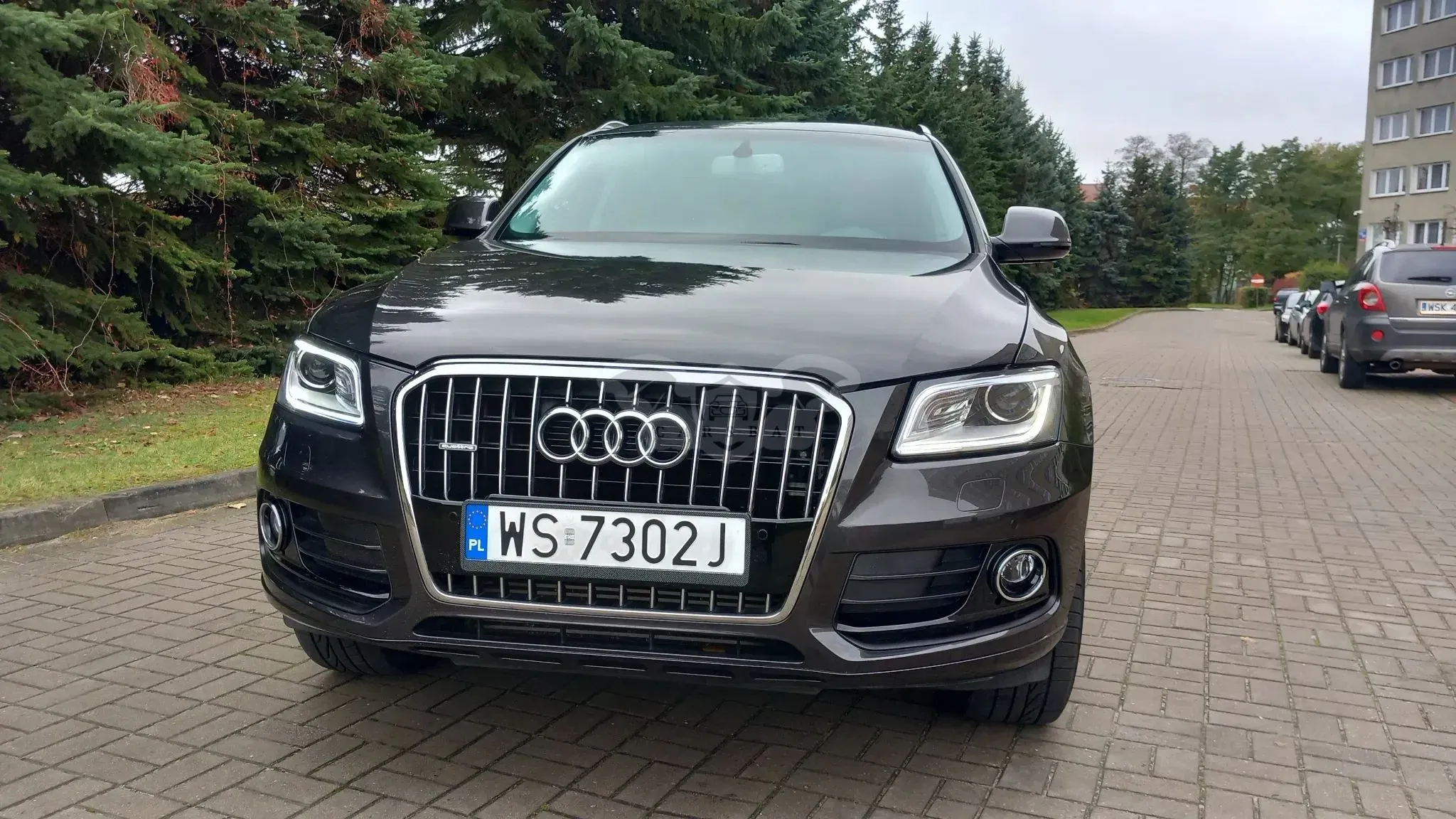 Audi Q5 8R 2016
