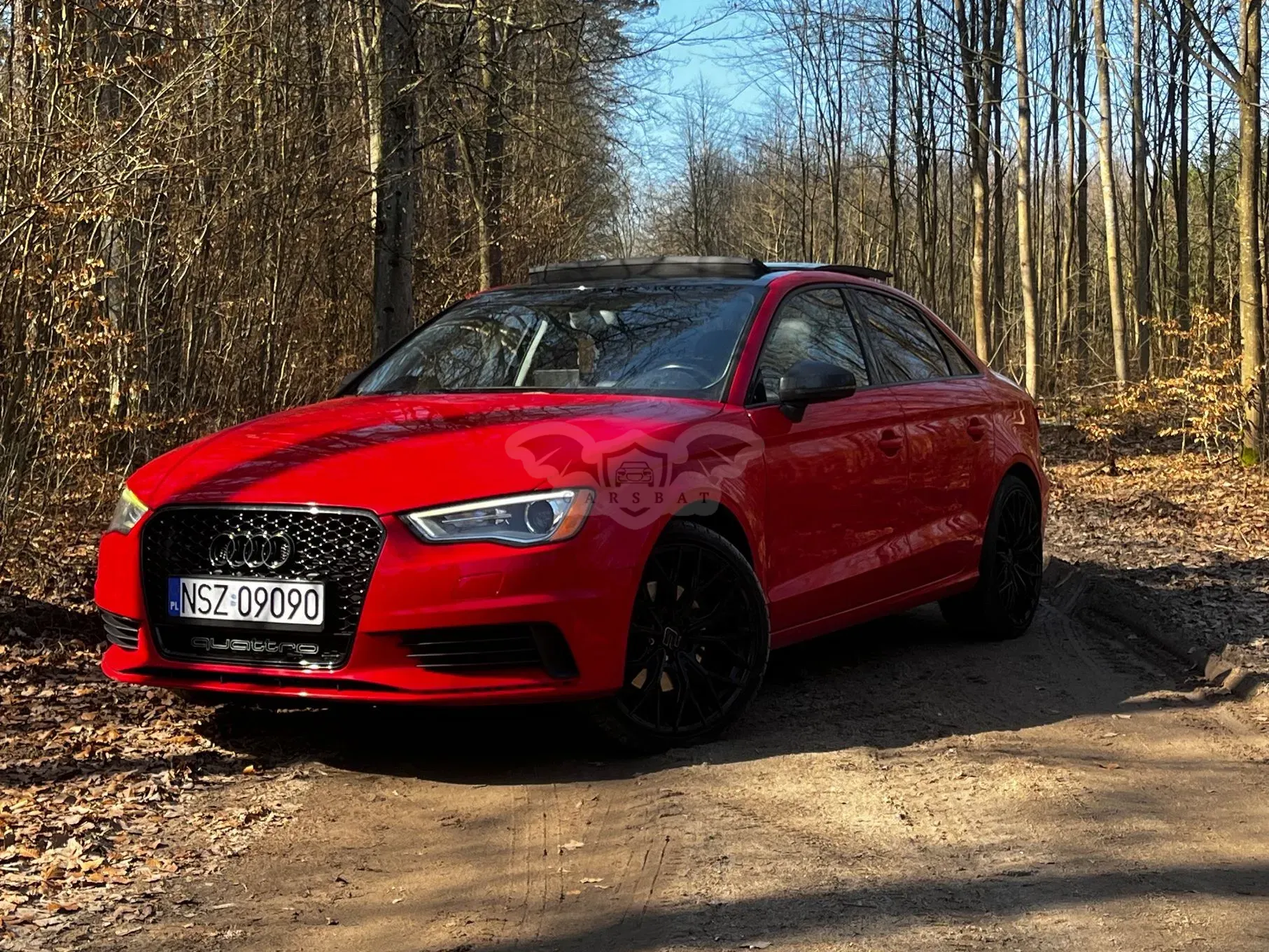 Audi A3 8V 2.0 TFSI quattro S tronic sport 2015
