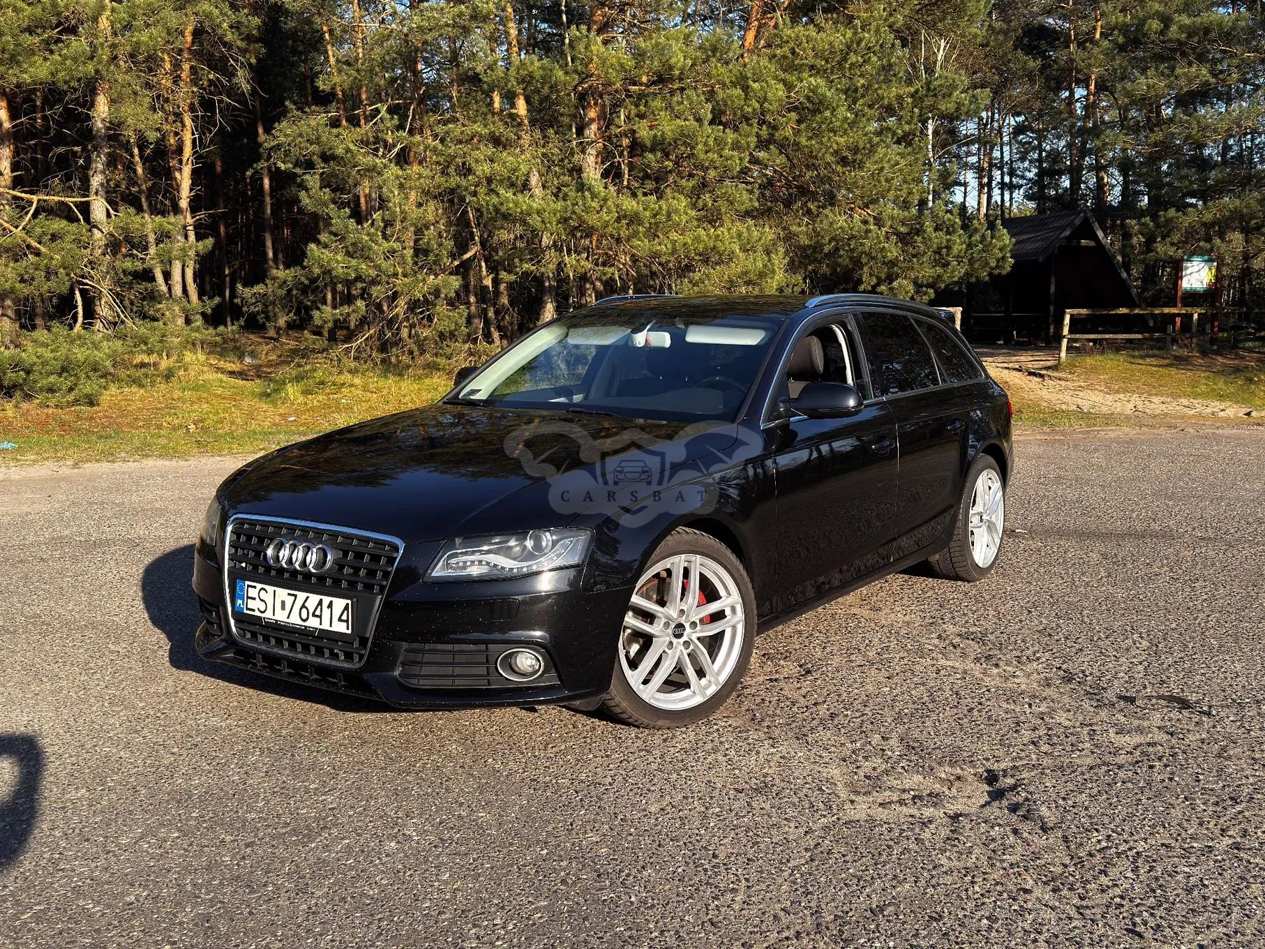 Audi A4 B8 2.0 TDI DPF Ambition 2010
