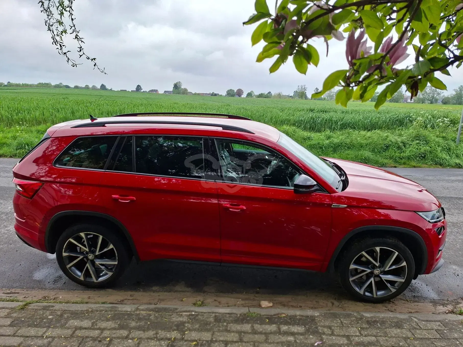Skoda Kodiaq I 2.0 TDI 4x4 Sportline 7os 2019