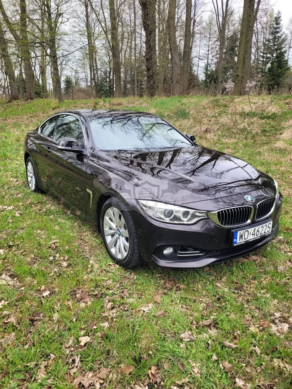 BMW 4 Series I F32/F33/F82 435d xDrive Sport-Aut Luxury Line 2014