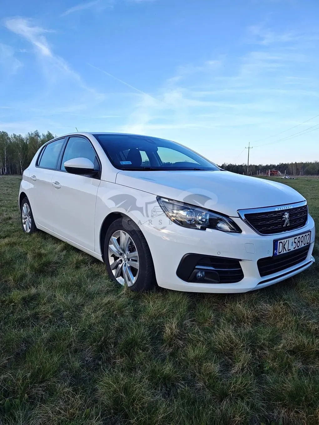 Peugeot 308 T9 2019